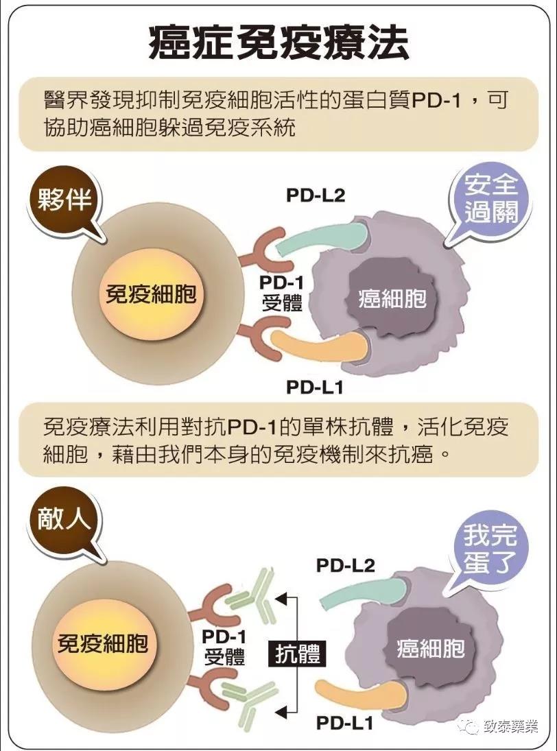 皮肤癌免疫疗法