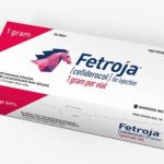 FETROJA中文说明书