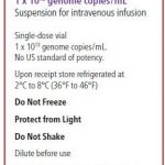 HEMGENIX中文说明书