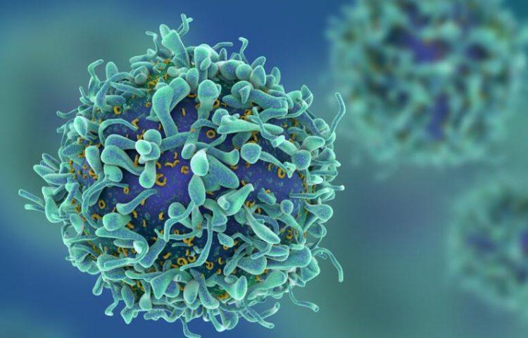 移植物抗宿主病