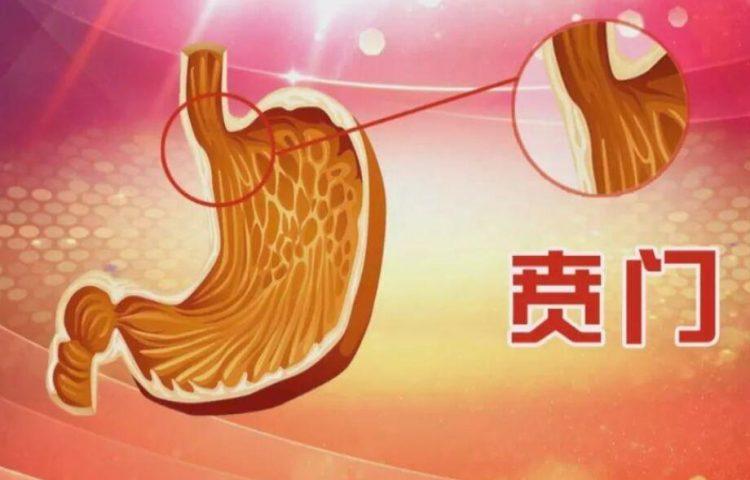 贲门癌(食管胃结合部癌)能治好吗，早期症状，如何治疗