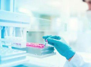 杜兴氏肌营养不良症Elevidys