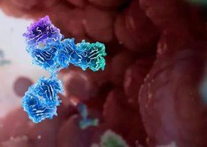 Talvey(talquetamab-TGVS)用于治疗多发性骨髓瘤