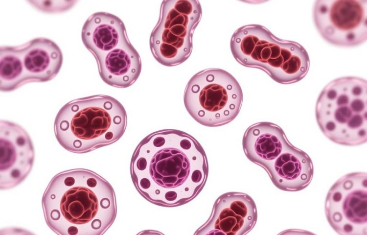 B细胞非霍奇金淋巴瘤