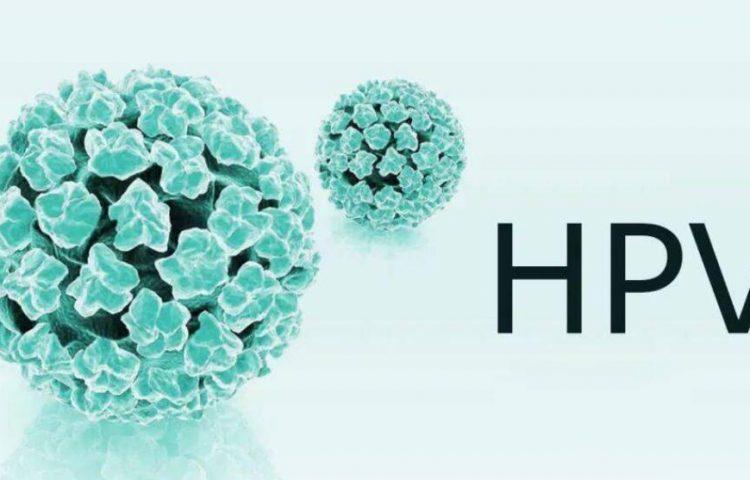 HPV