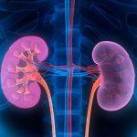 Rivfloza(nedosiran)中文说明书