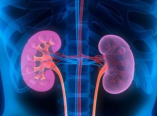 RIVFLOZA-NEDOSIRAN Rivfloza(nedosiran)中文说明书