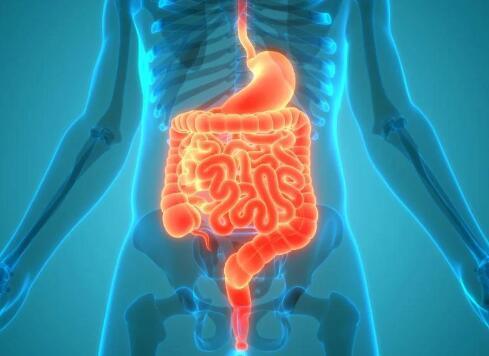 沙利度胺(Thalidomide)可减少小肠血管发育不良患者复发性出血