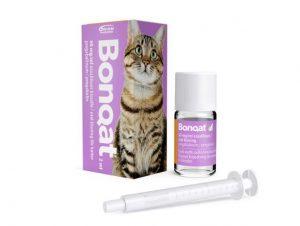 Bonqat普瑞巴林口服溶液用于缓解猫的焦虑