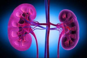 醛固酮合成酶抑制剂BI 690517可有效降低尿白蛋白肌酐比率