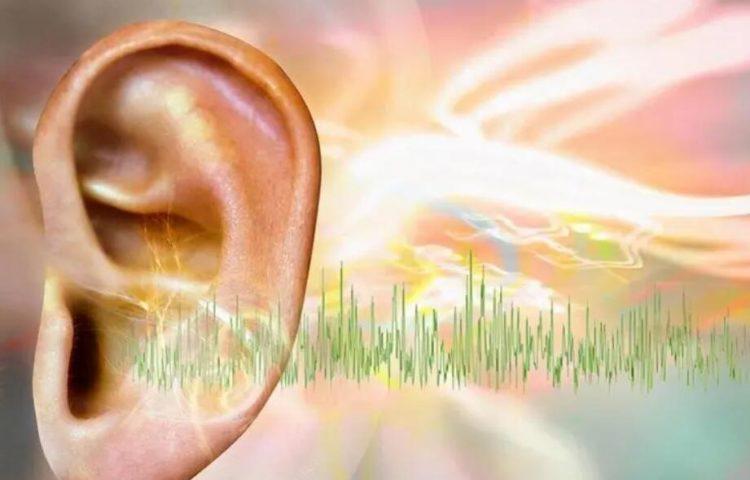 遗传性听力损失