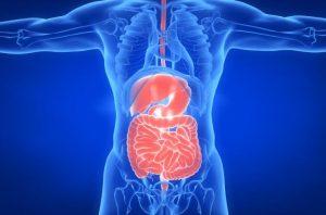 肠衰竭短肠综合征