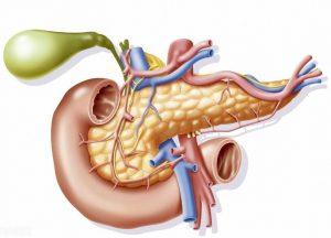 胃肠胰神经内分泌肿瘤