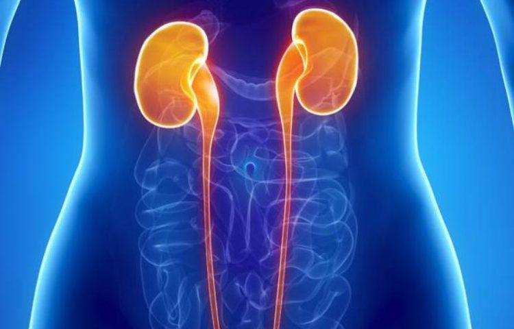 先天性肾上腺增生症