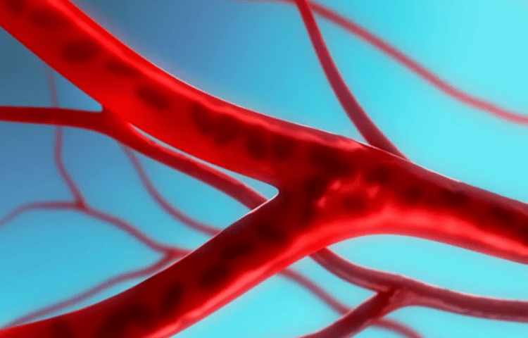 外伤性血管修复