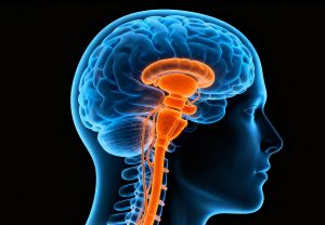 脊髓小脑性共济失调