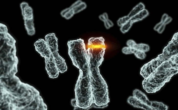 苯丙酮尿症 苯丙酮尿症