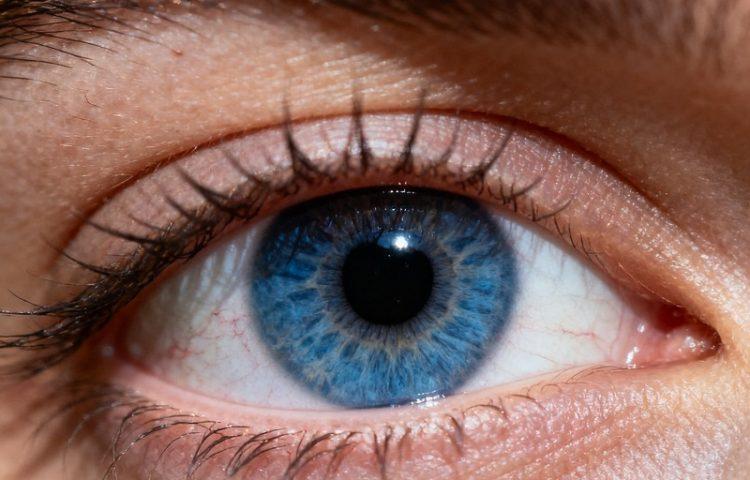 Leber遗传性视神经病变