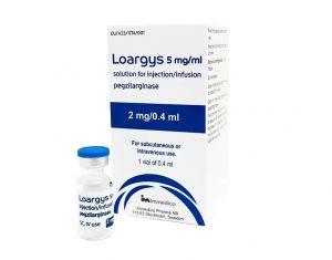 Loargys-Pegzilarginas