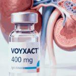 VOYXACT-sibeprenlimab-西贝瑞单抗