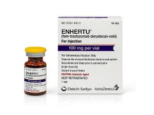 ENHERTU FAM-TRASTUZUMAB DERUXTECAN-NXKI
