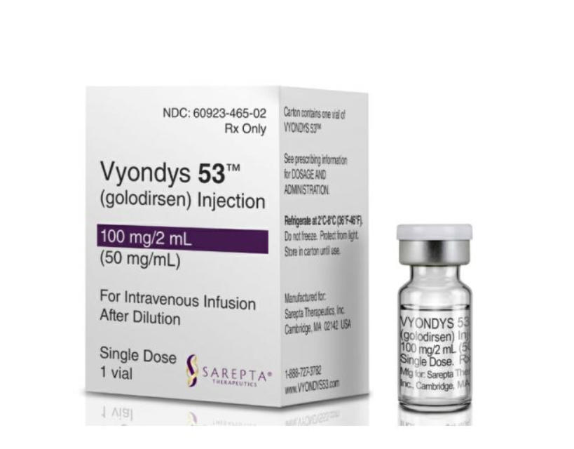 VYONDYS 53 GOLODIRSEN